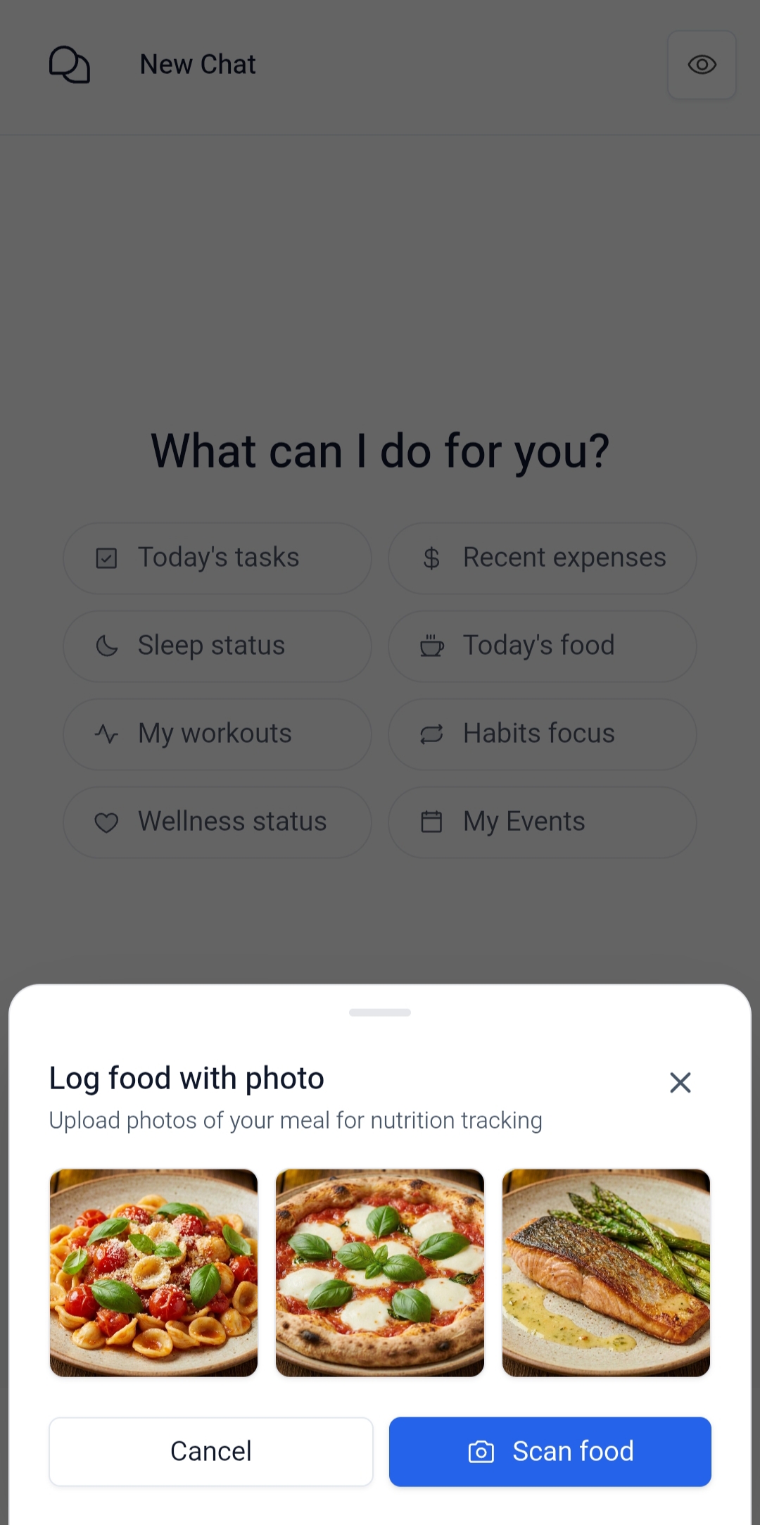 Mobile AI chat placeholder with camera icon to open log food